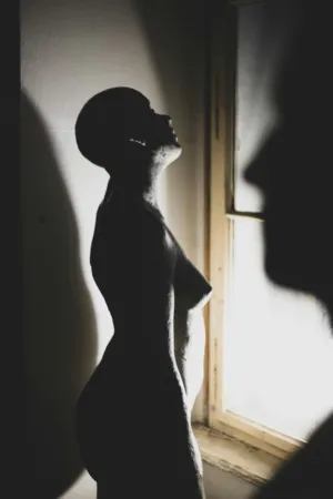 Silhouette Of A Figure
