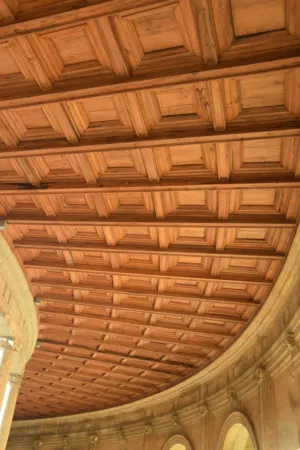 Wooden Ceiling Design