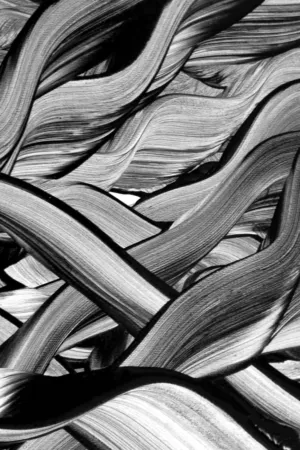 Abstract Art