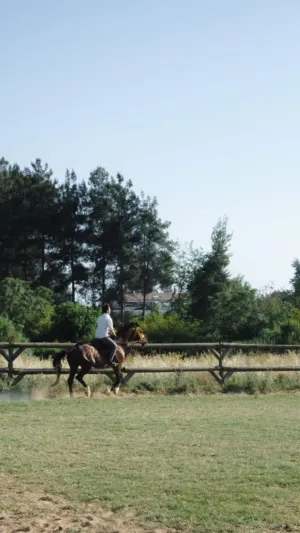 Horseback Riding In A Field