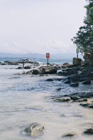 Rocky Beach With Signs
