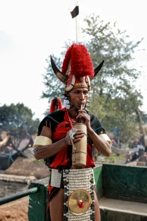 Traditional Musician
