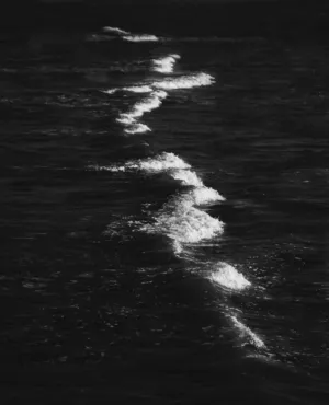 Wave Trail
