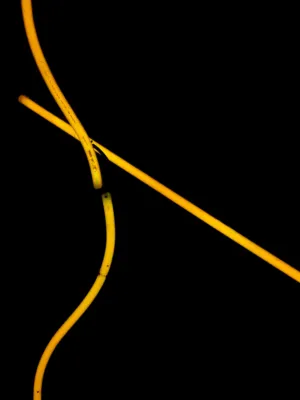 Yellow Lines On Black Background