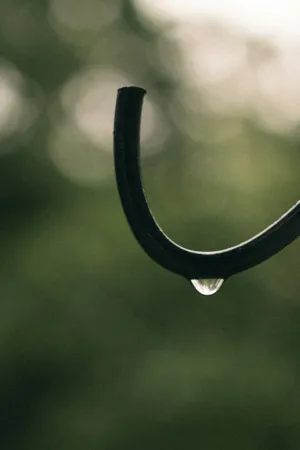 Raindrop On A Black Hook