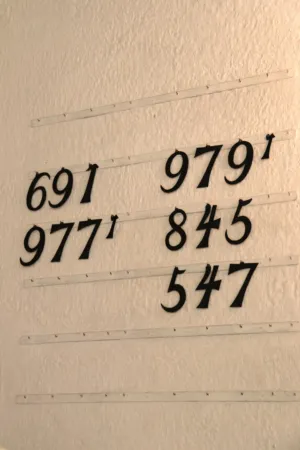 Number Display