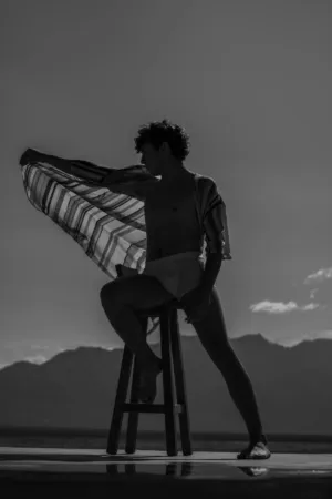Surreal Silhouette