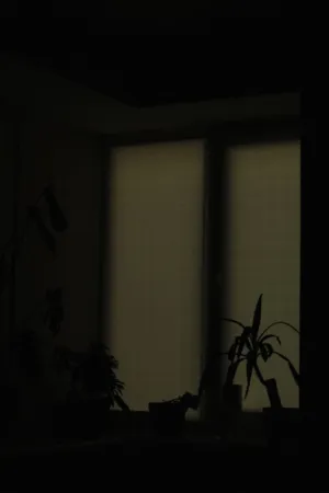 Window Silhouette