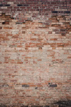 Old Brick Wall