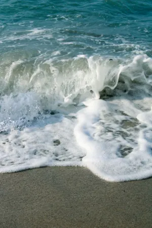 Ocean Waves