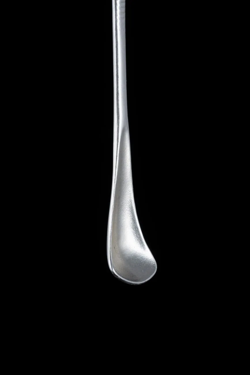 Silver Spoon