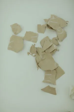 Torn Paper Pieces