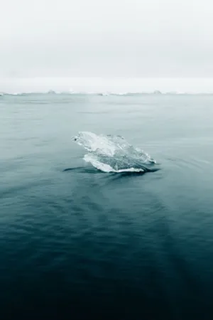 Iceberg In Calm Waters