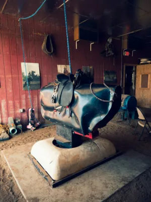 Rodeo Practice Equipment