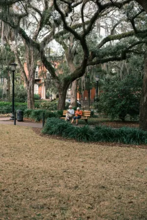 Savannah Park