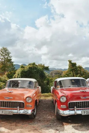 Classic Cars In A Tropical Setting
