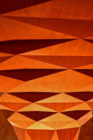 Geometric Wood Paneling