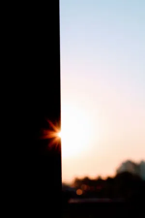 Sunset Silhouette