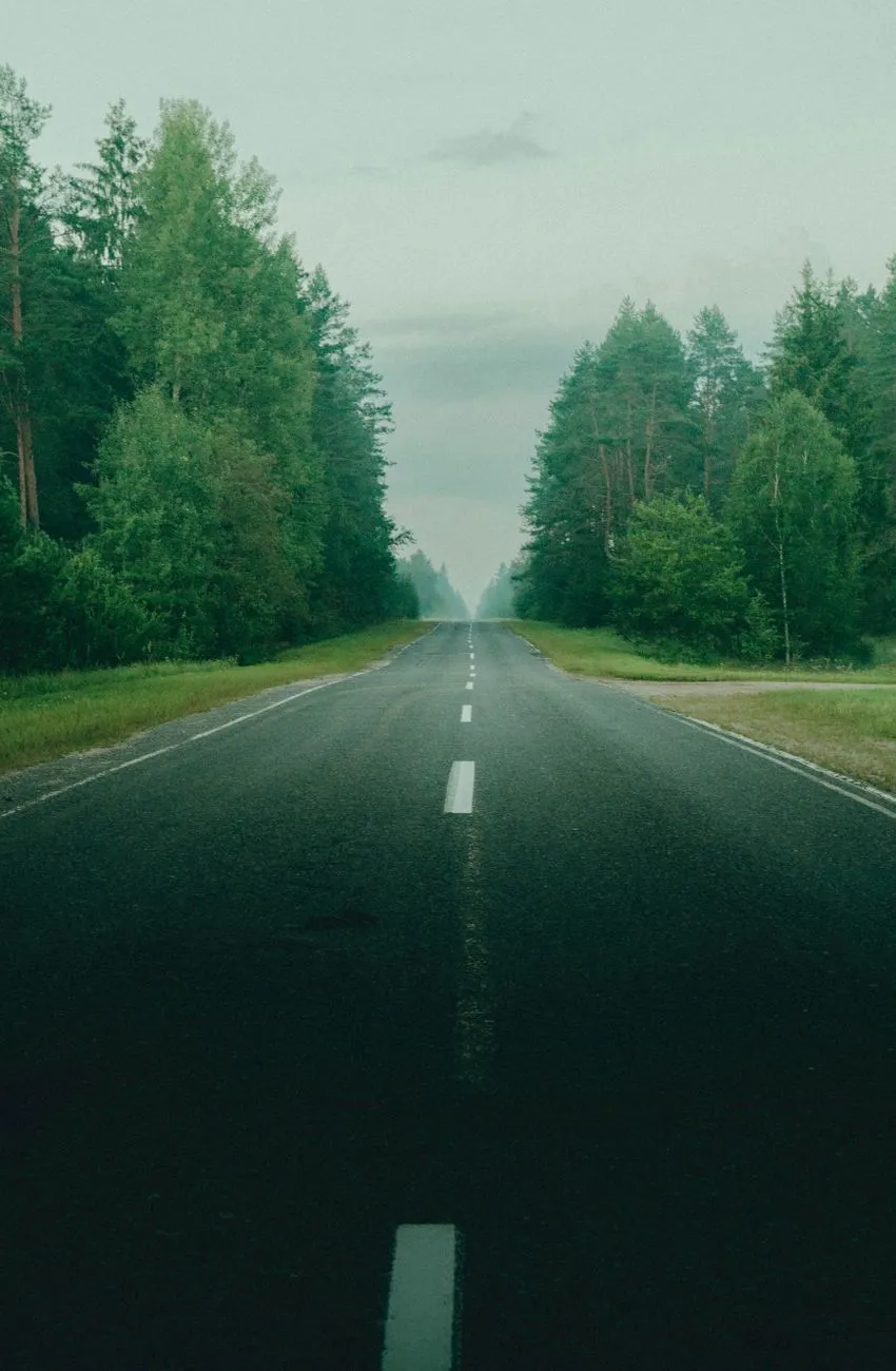 Forest Road