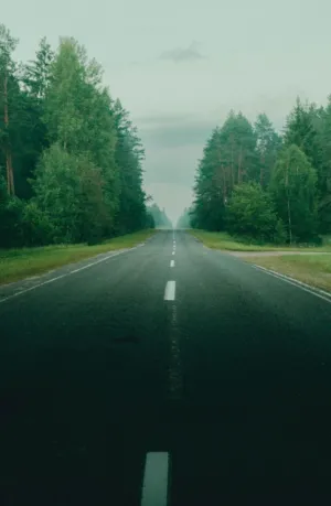 Forest Road