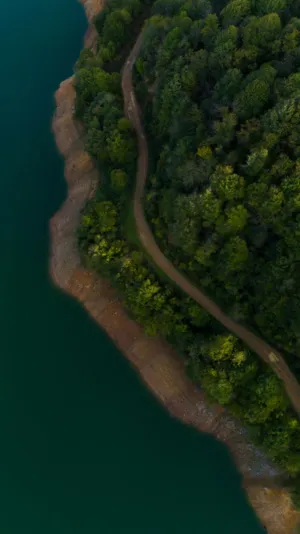 Forest Path By The Lake