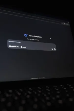 Deepseek Interface