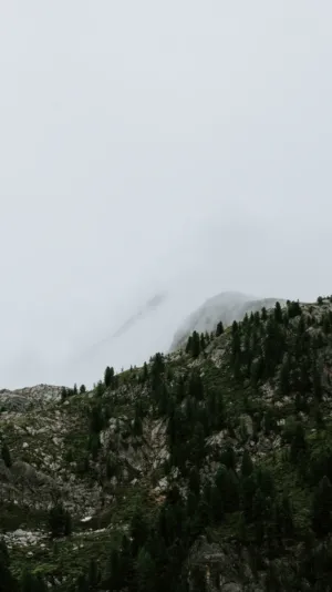 Misty Mountain Range