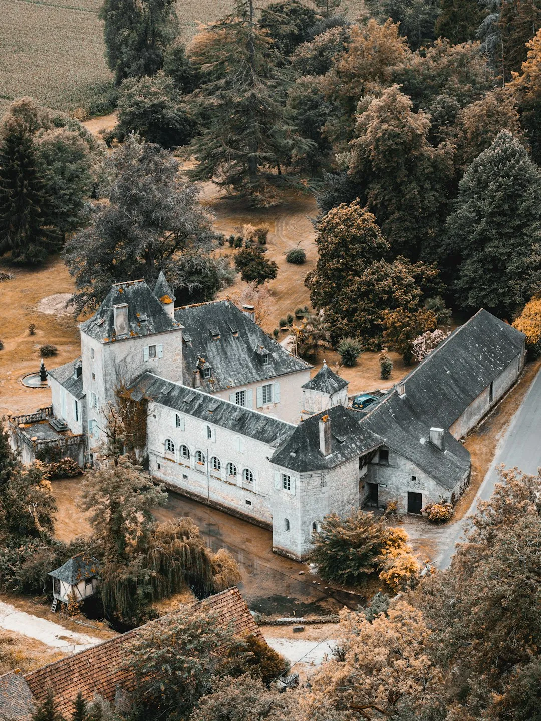 Château In The Woods