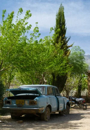 Abandoned Car In Nature