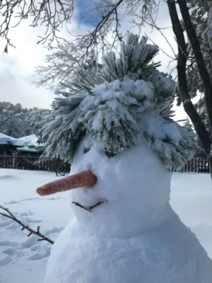 Snowman With Pinecone Hat