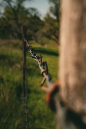 Rusty Chain Fence
