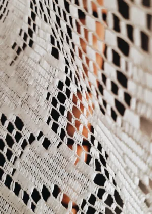 Lace Fabric Close-Up
