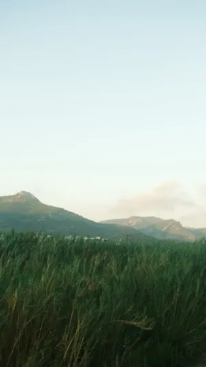 Green Fields And Mountains
