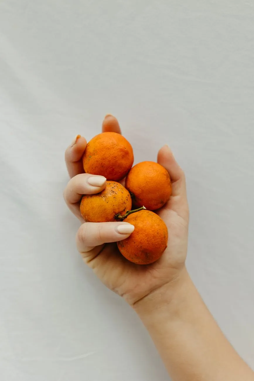 Hand Holding Oranges