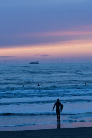 Surfer At Sunset
