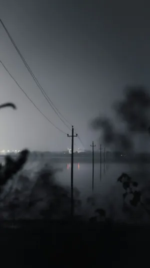 Foggy Night Landscape