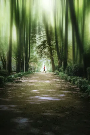 Forest Path