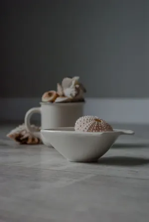 Sea Urchin In A Bowl