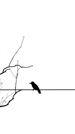 Minimalist Bird Silhouette