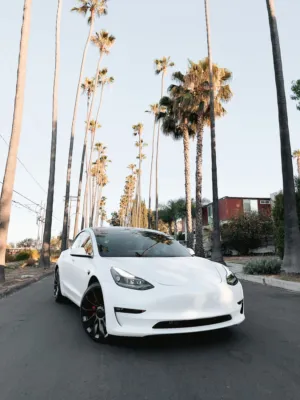 White Tesla Model 3 On A Palm Tree Lined Street