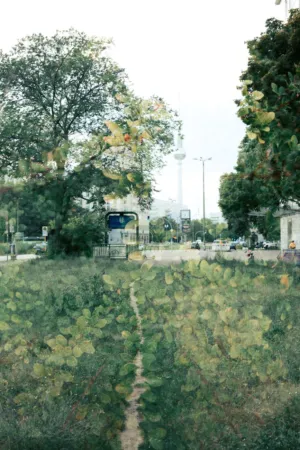 Urban Nature