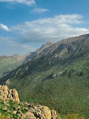 Mountain Landscape