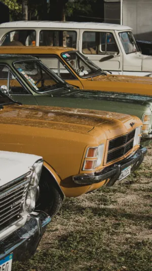 Vintage Car Collection