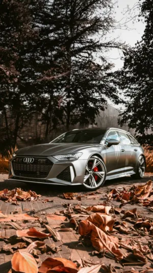 Audi Rs6 Avant In Autumn