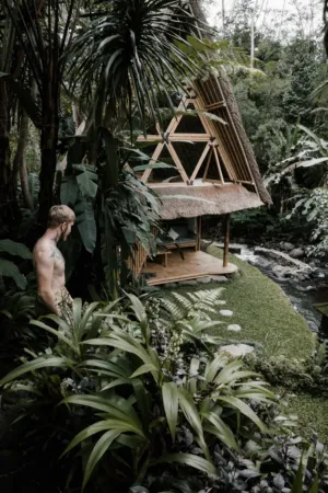 Bamboo Hut In Jungle