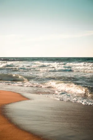 Beach Waves