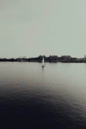 Sailboat On Calm Water