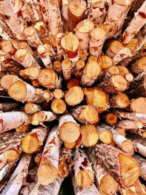 Stacked Logs