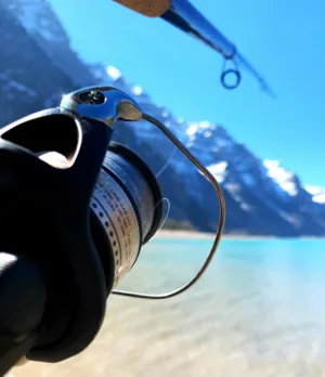 Fishing Reel And Rod