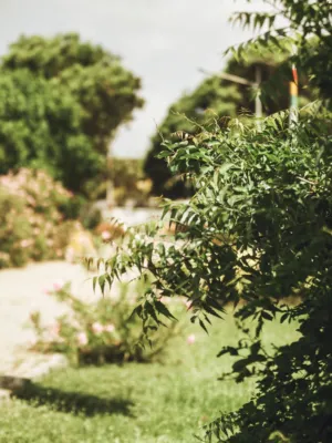 Garden Path